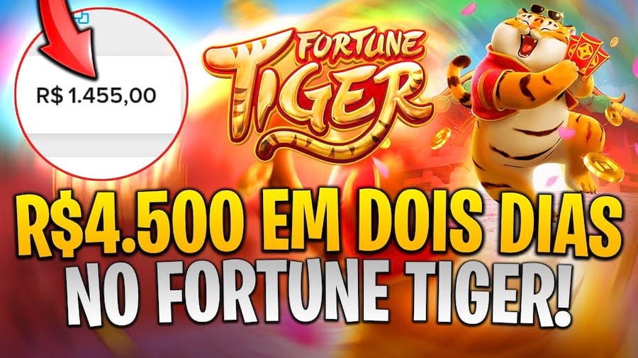 500 real bet