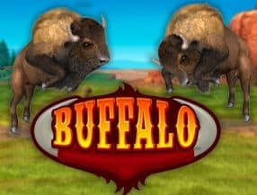 jogo do ratinho online