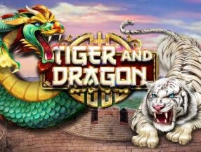 bet fast action login