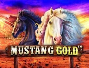 wild bet777 apk