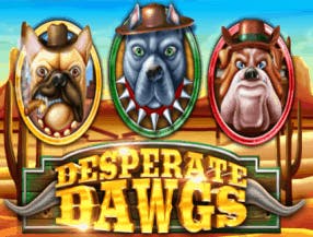 esporte da sorte baixar apk
