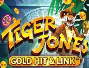 jogo do tigre demo