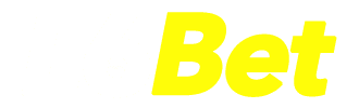 bingo online  grátis